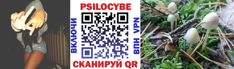 Псилоцибиновые грибы мухоморы  Купить закладки  Бакал 